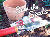 Sow the Seeds