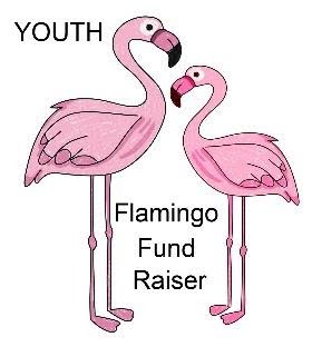 Flamingo Fundraiser