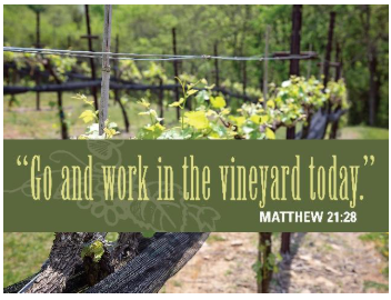 Go and work in the vineyard too